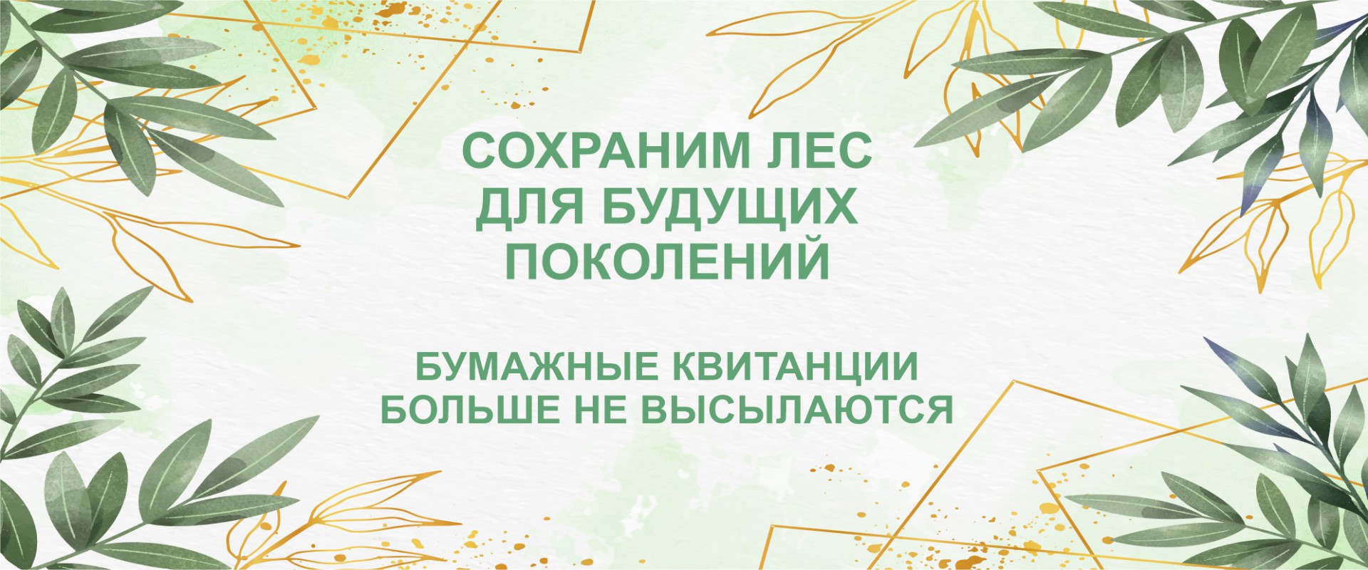 Телесети Плюс